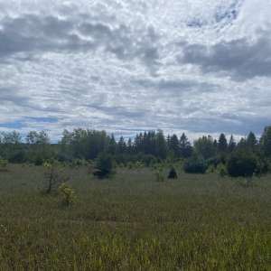 100 acres state land with river