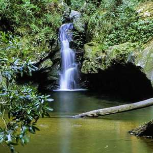 Tapin Tops National Park