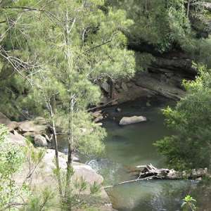 Bomaderry Creek Regional Park