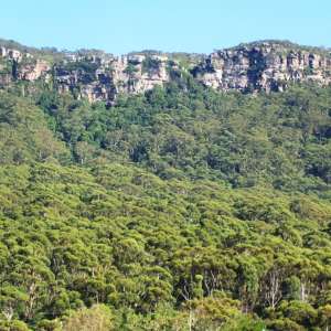 Illawarra Escarpment State Conservation Area
