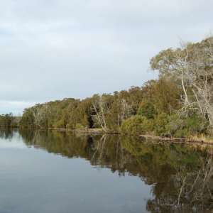 Lake Macquarie State Conservation Area