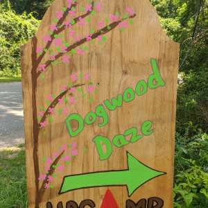 Dogwood Daze