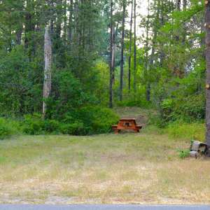 Private Wooded Hungry Horse Lot