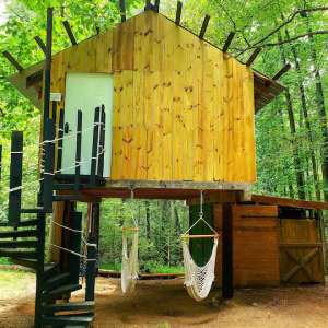 Treasure Chest Treehouse A Utopia In The Woods