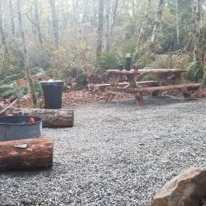 Cedar stump RV campsite