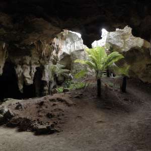Naracoorte Caves National Park