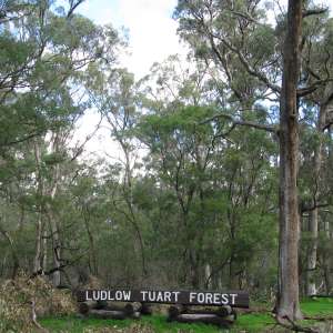 Tuart Forest National Park
