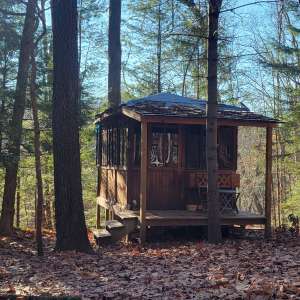 Private Forest Cedar Cabin