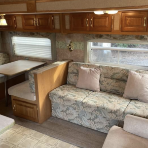 Tanya's RV With A Pool