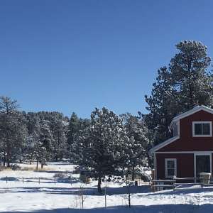 Little Red Barn at Forever Ranch