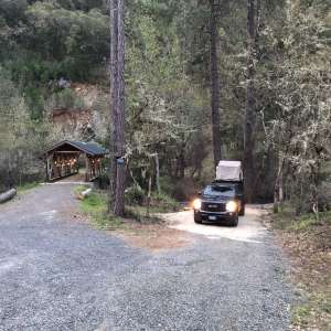 Forested creekside campsite
