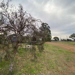 “Clear View” Farmstay and Camping