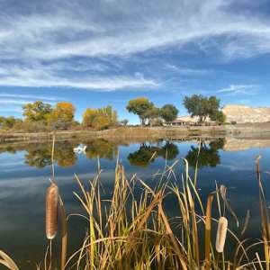 Colorado River Animal Sanctuary