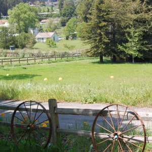 Moonglow Sonoma Ranch Retreats