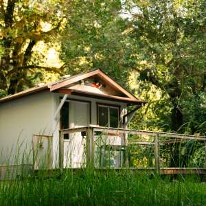 River Oasis Forest Camp