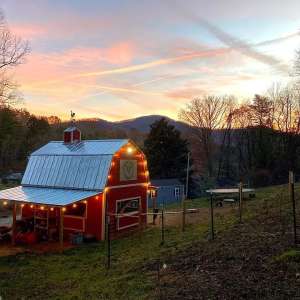 Candy Mountain Goat Farm