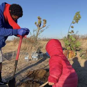 Come Plant Trees In The Desert!