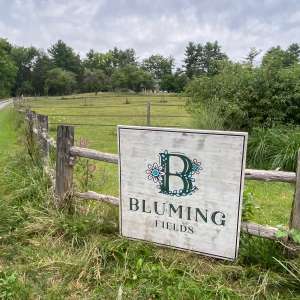 Bluming Fields