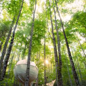 Glamping Elevated