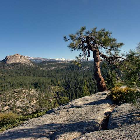 Smalley Cove Campground, Sierra, CA: