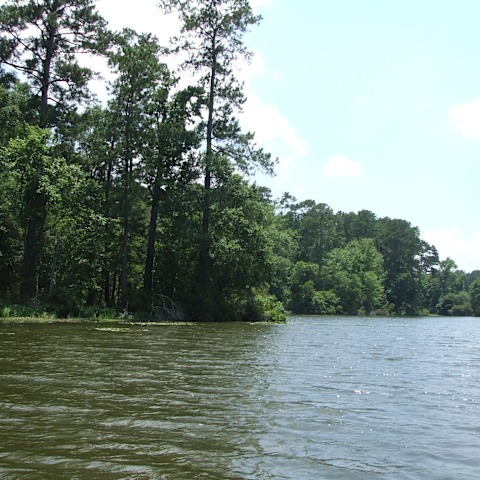 Coloneh Campground, Huntsville, Tx: