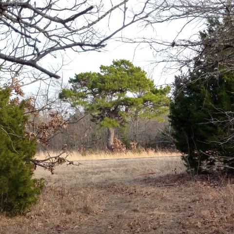 Lake Arrowhead Campground, Lake Arrowhead, TX: 3 Photos