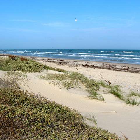 North Beach Campground Padre Island Tx 1 Hipcamper Review