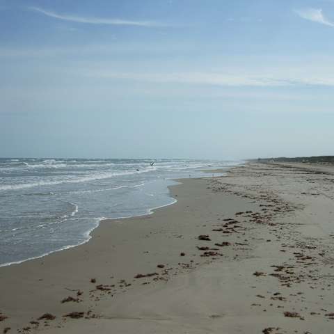 Bird Island Basin Campground, Padre Island, TX: