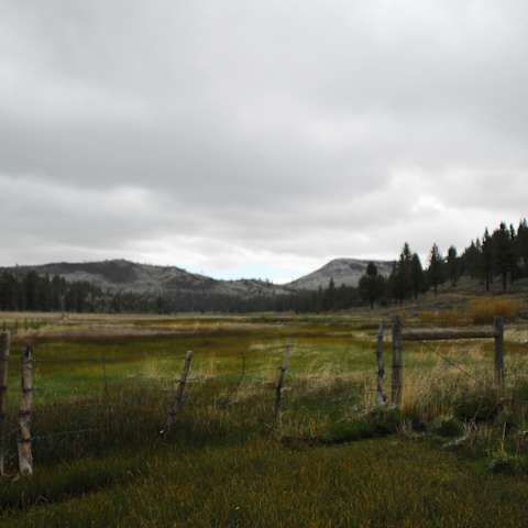 Escape to Gansner Bar: Your Northern California Campground Adventure