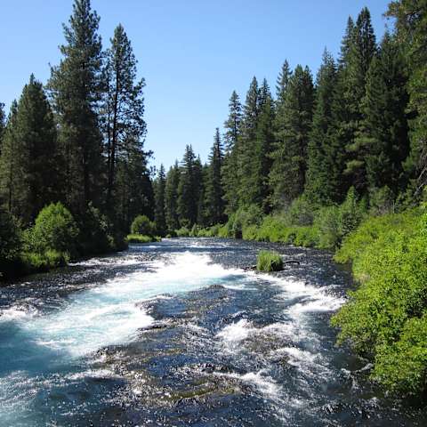 Scout Lake Campground, Deschutes, OR: