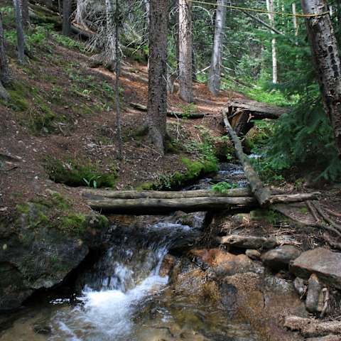 Olive Ridge Campground, Roosevelt, Co: