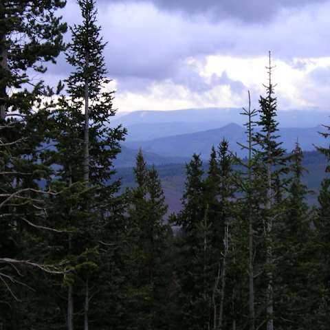 Teal Lake Campground, Routt, CO: