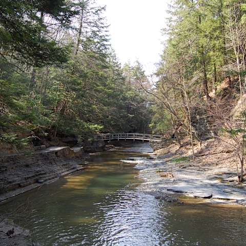 Buttermilk Falls Campground, Buttermilk Falls, NY: 1 Hipcamper Review ...