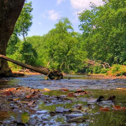 Raccoon Creek Park Group Campground, Raccoon Creek Park, PA: 1 ...