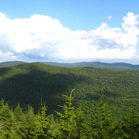 Griffith Lake/Baker Peak Via Lake Trail, Green Mountain, VT: