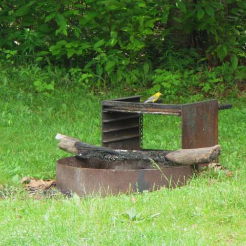 Big Run Campground, Big Run, MD: 1 Photo