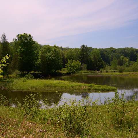 Saddle Up For Adventure: Your Guide To Michigan’s Luzerne Horse Trail Campground And Trailhead