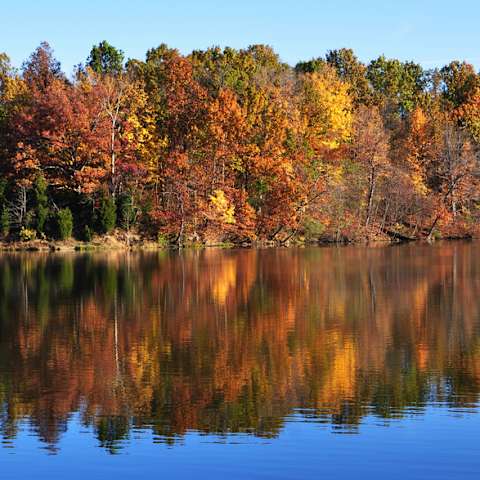 Cowan Lake Campground, Cowan Lake, OH: 1 Hipcamper Review And 6 Photos