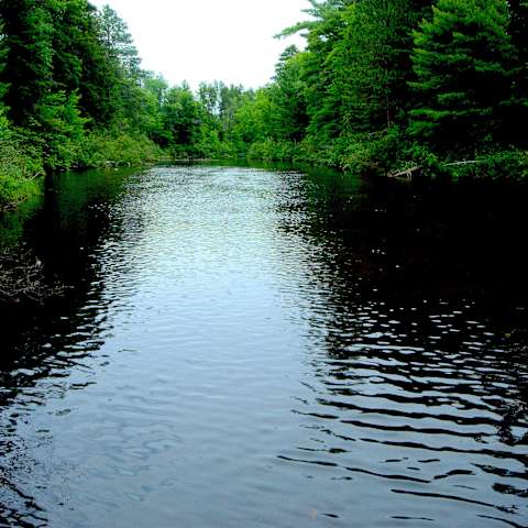 Bittersweet Wild Campground Northern Highland American Wi