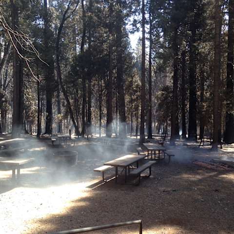 Escape To Jones Fork: Your Northern California Campground Adventure