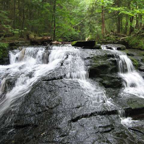 Mongaup Pond Campground, Catskill, NY: 4 Hipcamper Reviews And 2 Photos