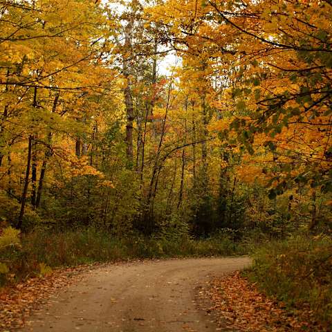 Escape To Serenity: Mabel Lake Campground, Minnesota’s Hidden Gem