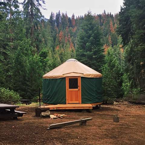 trail of 100 giants campground