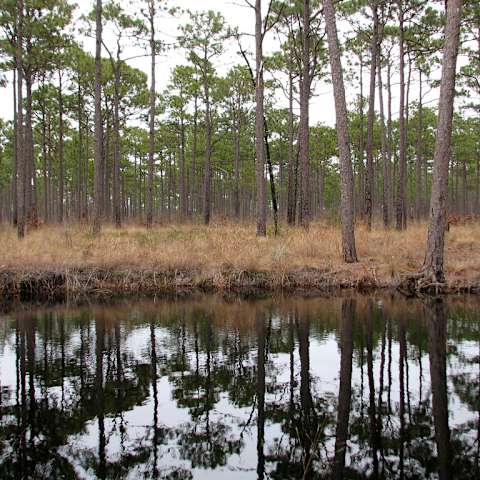 Flanners Beach Campground, Croatan, NC: