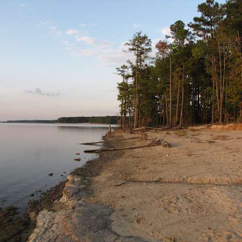 Jones Lake Campground, Jones Lake, NC: 4 Photos