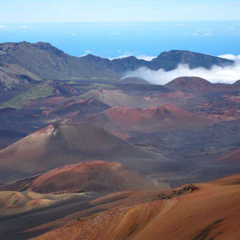 Hosmer Grove, Haleakalā, HI: