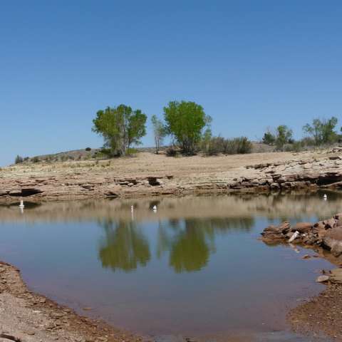 Raccoon Campground, Sumner Lake, NM: