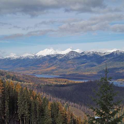 Lindbergh Lake Campground, Flathead, MT: 1 Hipcamper Review