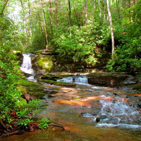 Sandy Bottoms: Georgia's Hidden Gem for Campers Seeking Serenity