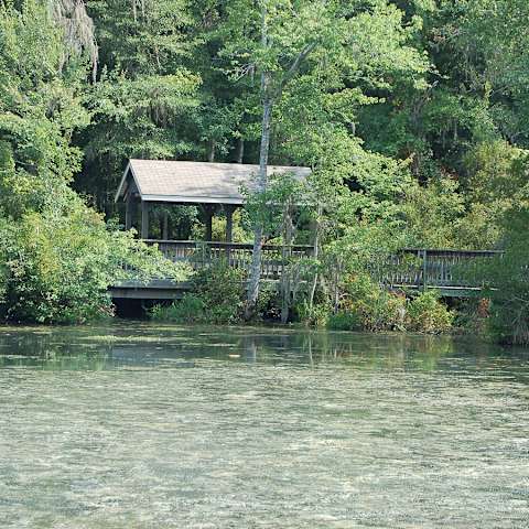 Escape to Serenity: A Guide to Magnolia Springs State Park